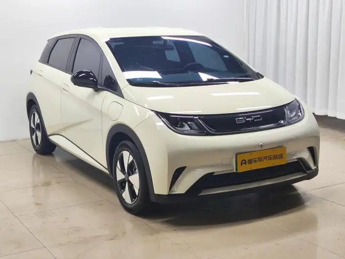 BYD Dolphin 2023 Model Free Edition – фото 3