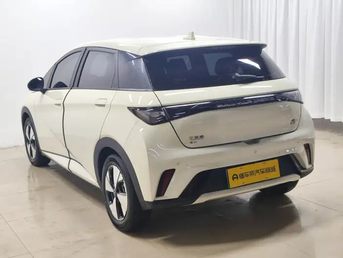 BYD Dolphin 2023 Model Free Edition – фото 5