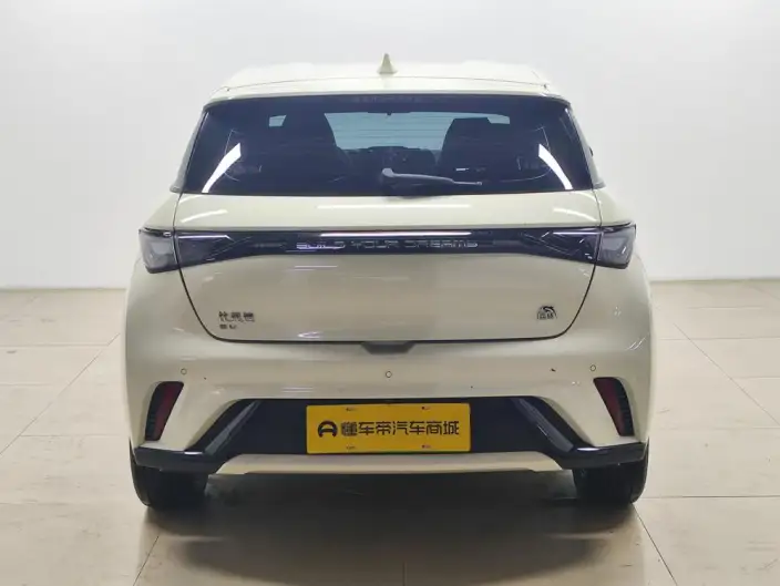 BYD Dolphin 2023 Model Free Edition – фото 6