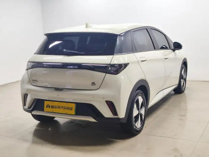 BYD Dolphin 2023 Model Free Edition – фото 7