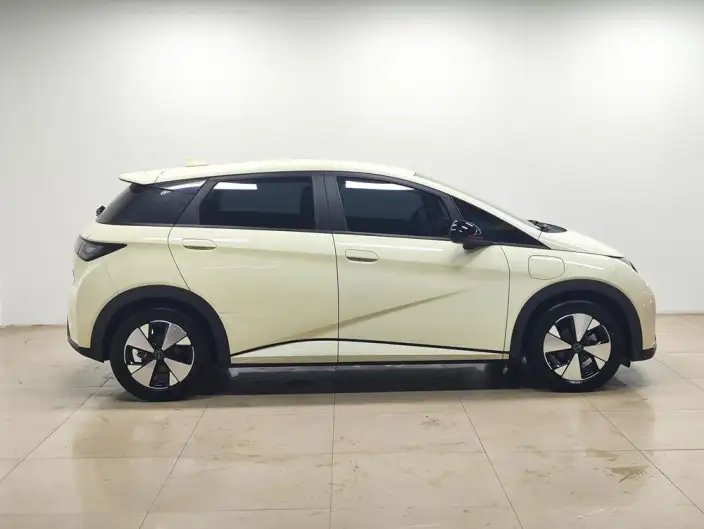BYD Dolphin 2023 Model Free Edition – фото 8