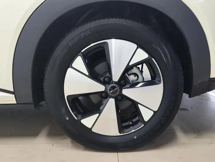 BYD Dolphin 2023 Model Free Edition – фото 9