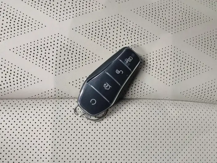 BYD Dolphin 2023 Model Free Edition – фото 11