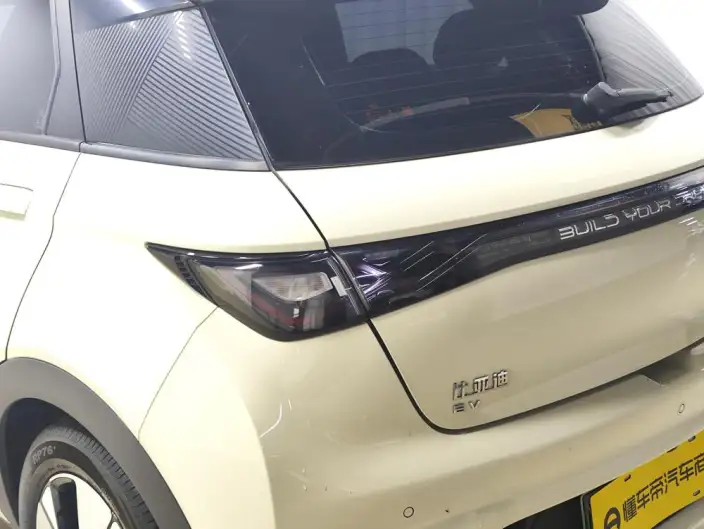 BYD Dolphin 2023 Model Free Edition – фото 13