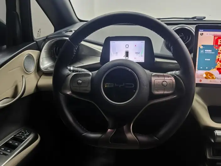 BYD Dolphin 2023 Model Free Edition – фото 16