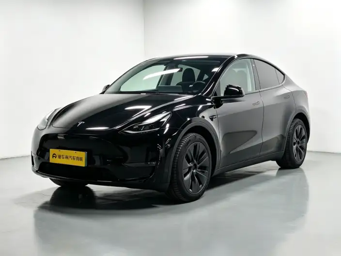 Model Y 2023 Model Long Battery Life Pro All-wheel drive version – фото 1