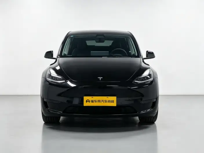 Model Y 2023 Model Long Battery Life Pro All-wheel drive version – фото 2