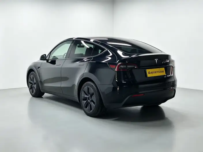 Model Y 2023 Model Long Battery Life Pro All-wheel drive version – фото 5