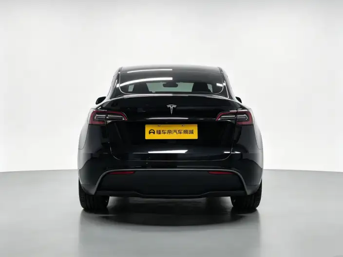 Model Y 2023 Model Long Battery Life Pro All-wheel drive version – фото 6