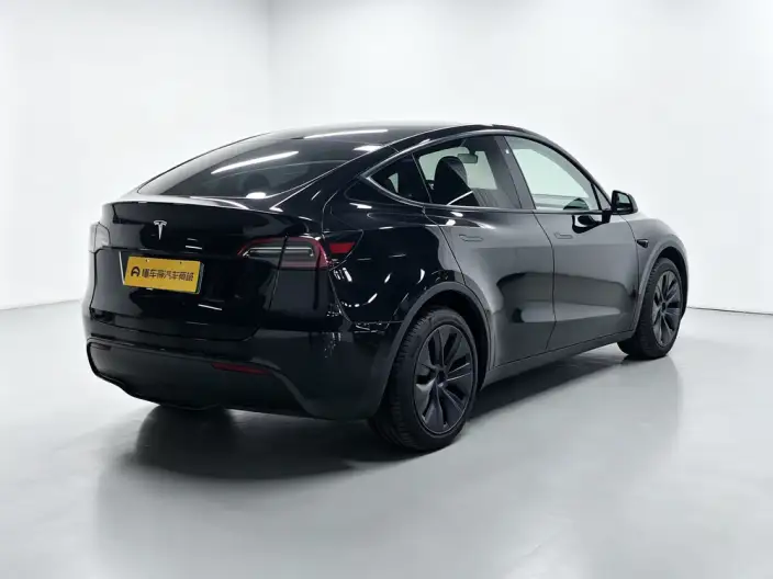 Model Y 2023 Model Long Battery Life Pro All-wheel drive version – фото 7
