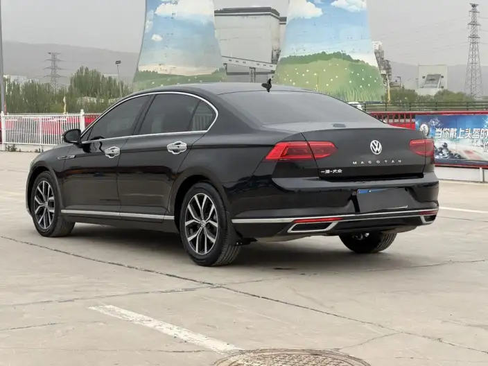 Volkswagen Magotan 2020 Model 330TSI DSG Leading Model – фото 5