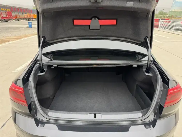 Volkswagen Magotan 2020 Model 330TSI DSG Leading Model – фото 19
