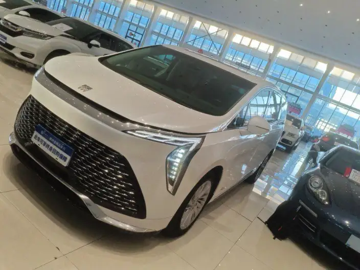 Century 2023 Model 2.0T VII seat Yunshi Edition – фото 1
