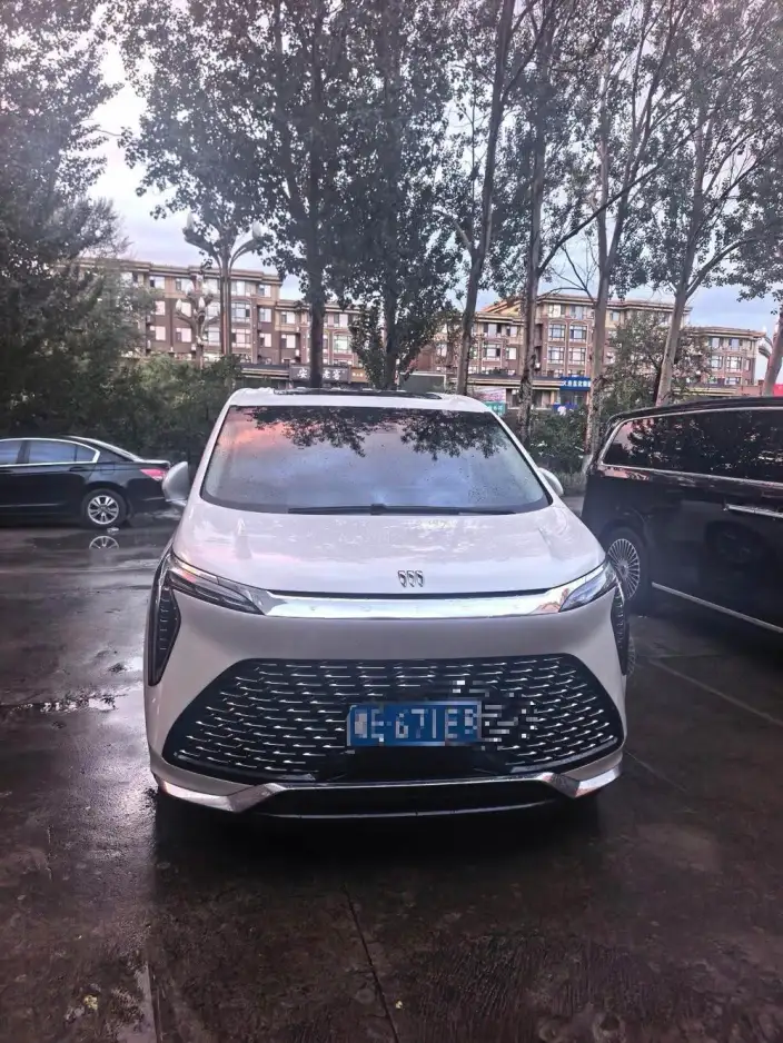 Century 2023 Model 2.0T VII seat Yunshi Edition – фото 2