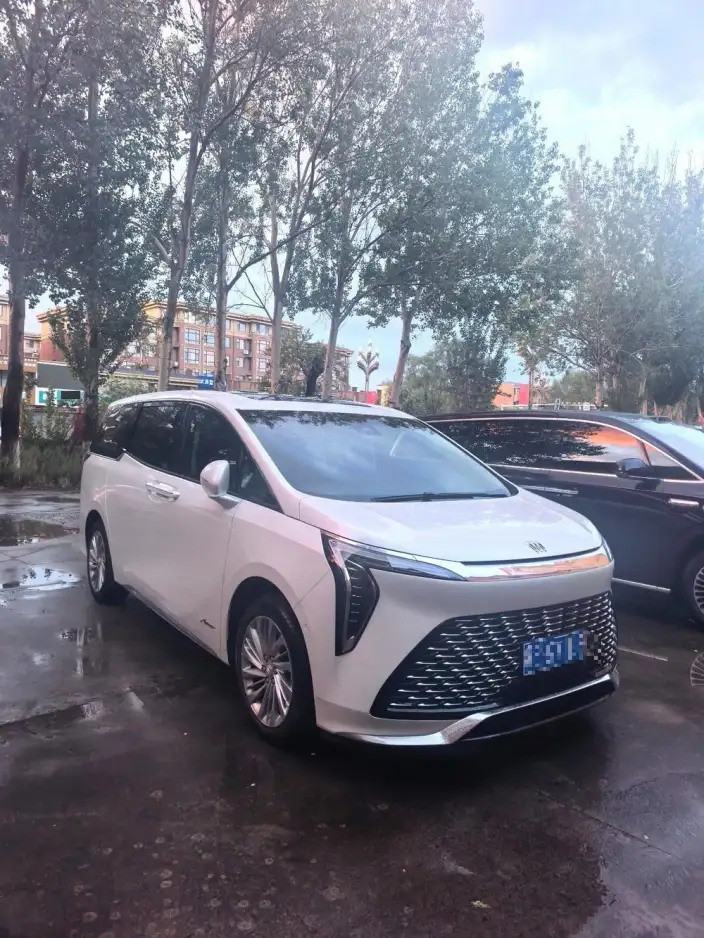 Century 2023 Model 2.0T VII seat Yunshi Edition – фото 3