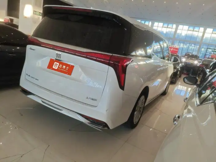 Century 2023 Model 2.0T VII seat Yunshi Edition – фото 5