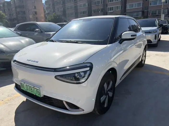 Dongfeng Nano 01 2025 Model 330km Youth Edition – фото 1