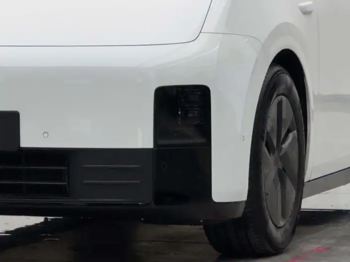 Li Auto MEGA 2025 Model Home Family Special Edition – фото 6