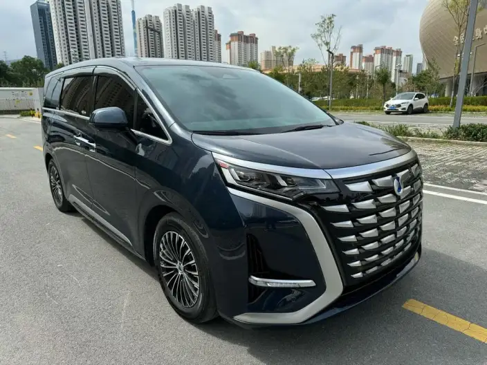 DENZA D9 DM 2022 Model 970 4WD Flagship Model – фото 3