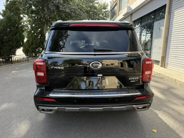 GAC Trumpchi GS8 2020 Model 390T 2WD Luxury Zhilian Edition 7 seat – фото 5