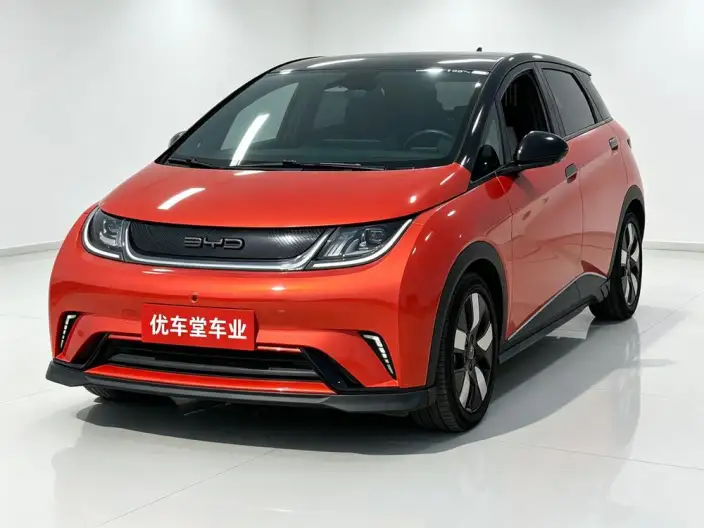 BYD Dolphin 2023 Model Knight Edition – фото 1