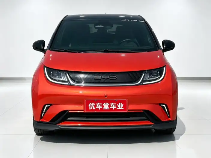 BYD Dolphin 2023 Model Knight Edition – фото 2
