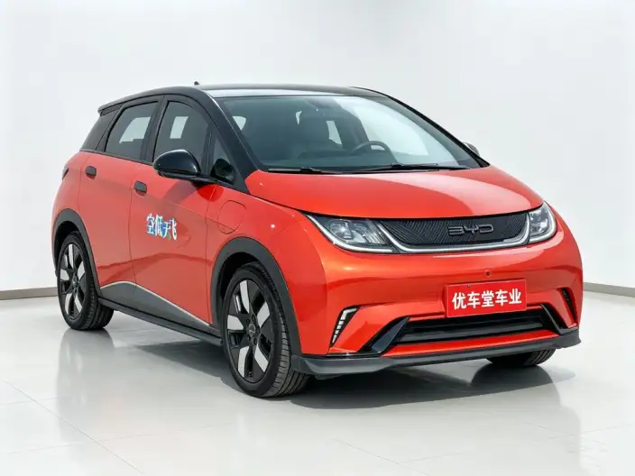 BYD Dolphin 2023 Model Knight Edition – фото 3