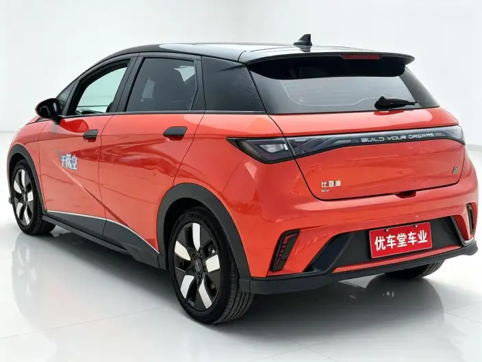 BYD Dolphin 2023 Model Knight Edition – фото 4