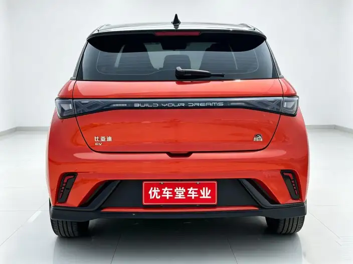 BYD Dolphin 2023 Model Knight Edition – фото 5