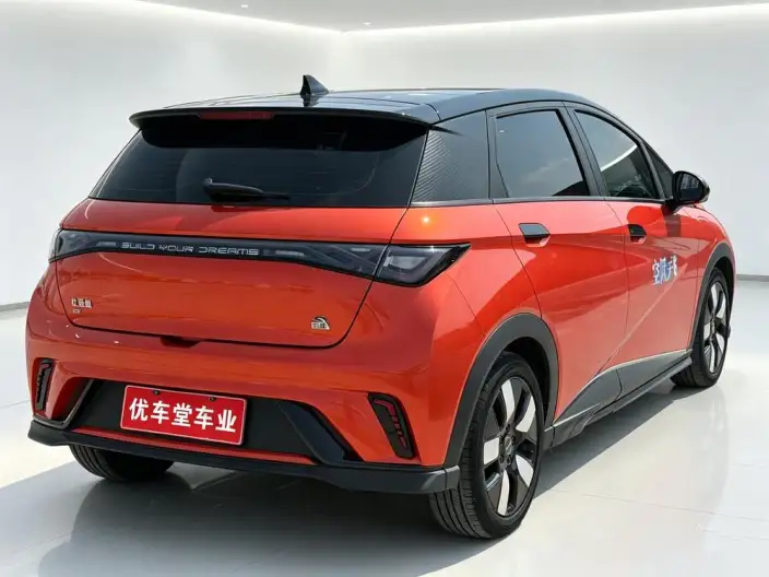 BYD Dolphin 2023 Model Knight Edition – фото 6