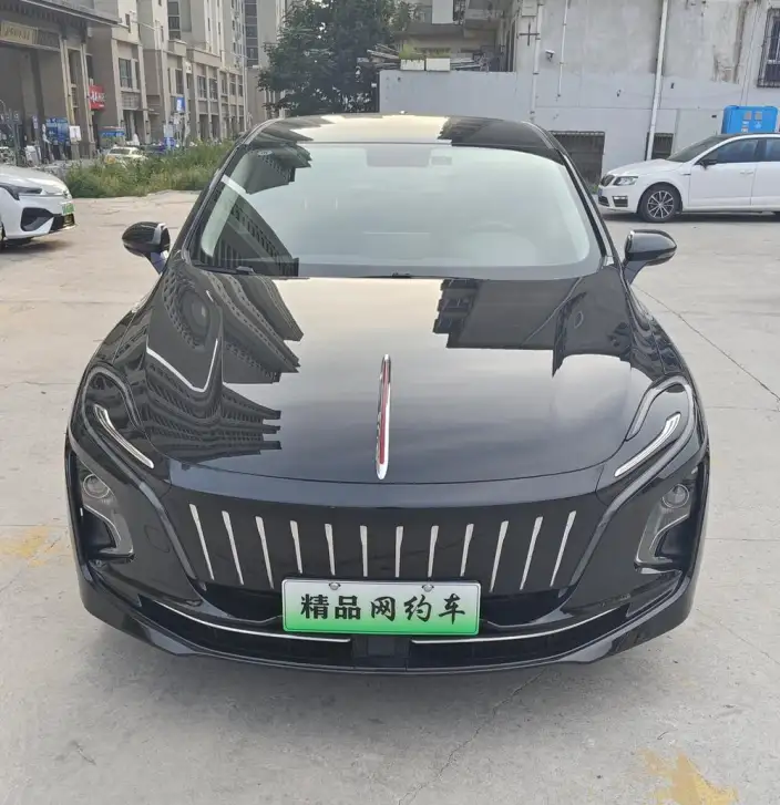 Hongqi E-QM5 2024 Model 500KM Travel Edition 100kW – фото 2