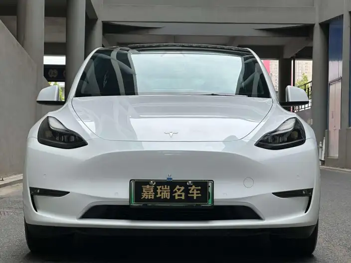 Model Y 2022 Model Long Battery Life Pro All-wheel drive version – фото 2