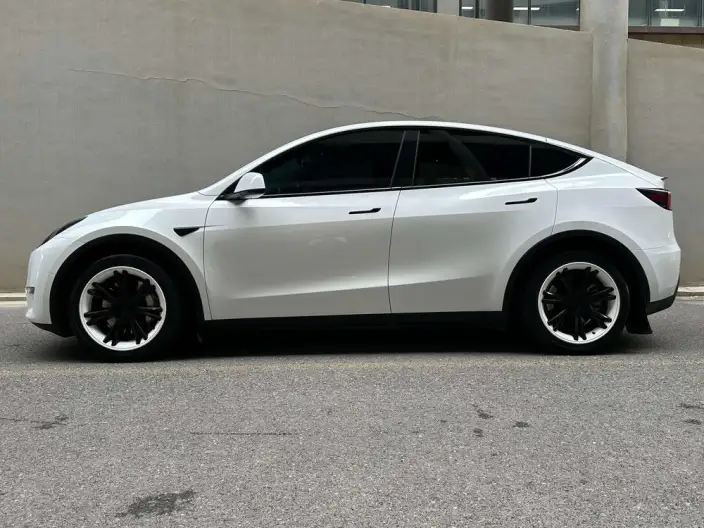 Model Y 2022 Model Long Battery Life Pro All-wheel drive version – фото 3