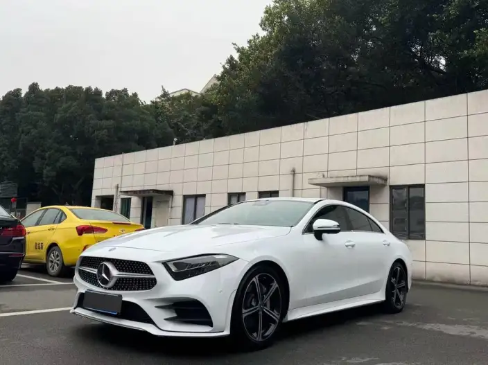 Mercedes-Benz CLS 2020 Model CLS 300 Luxury Model – фото 1