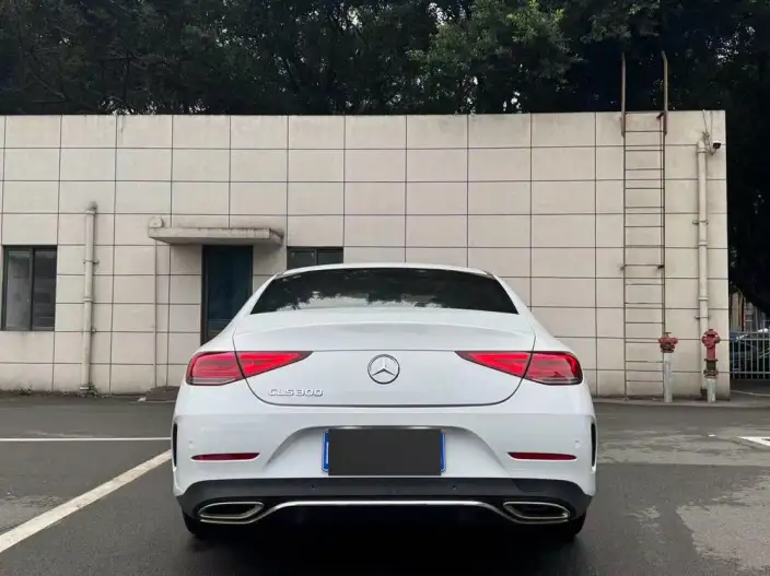 Mercedes-Benz CLS 2020 Model CLS 300 Luxury Model – фото 3