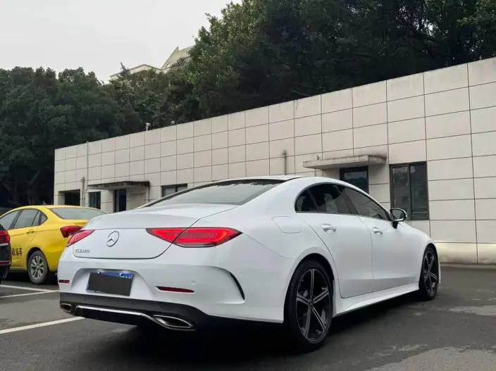 Mercedes-Benz CLS 2020 Model CLS 300 Luxury Model – фото 4