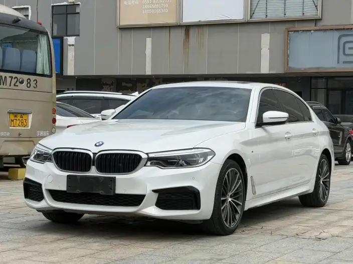 BMW 5 Series 2020 Model 530Li Leading Model M Sports Set – фото 1