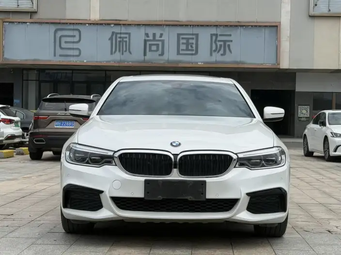BMW 5 Series 2020 Model 530Li Leading Model M Sports Set – фото 2