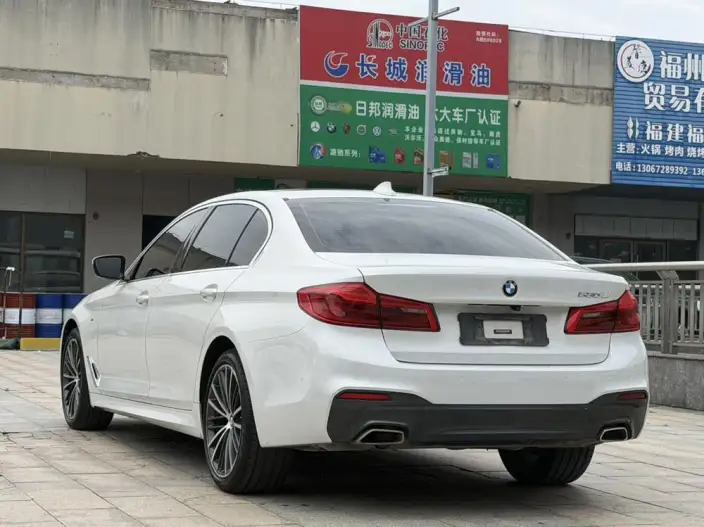 BMW 5 Series 2020 Model 530Li Leading Model M Sports Set – фото 5
