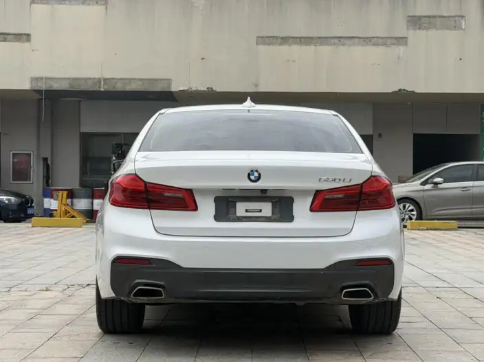 BMW 5 Series 2020 Model 530Li Leading Model M Sports Set – фото 6