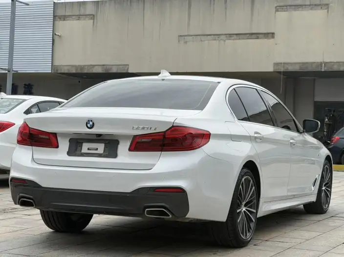 BMW 5 Series 2020 Model 530Li Leading Model M Sports Set – фото 7