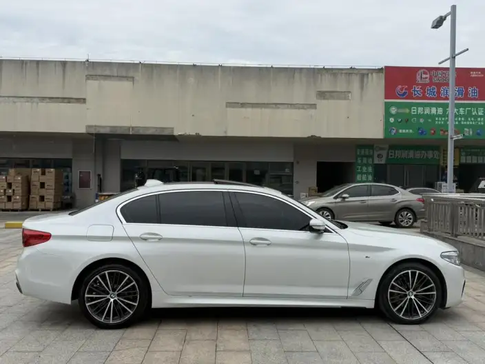 BMW 5 Series 2020 Model 530Li Leading Model M Sports Set – фото 8
