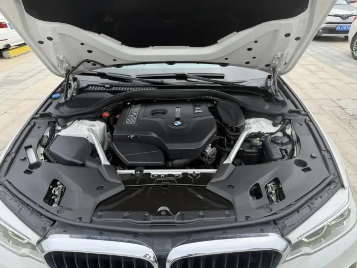 BMW 5 Series 2020 Model 530Li Leading Model M Sports Set – фото 9
