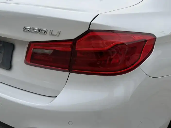 BMW 5 Series 2020 Model 530Li Leading Model M Sports Set – фото 11