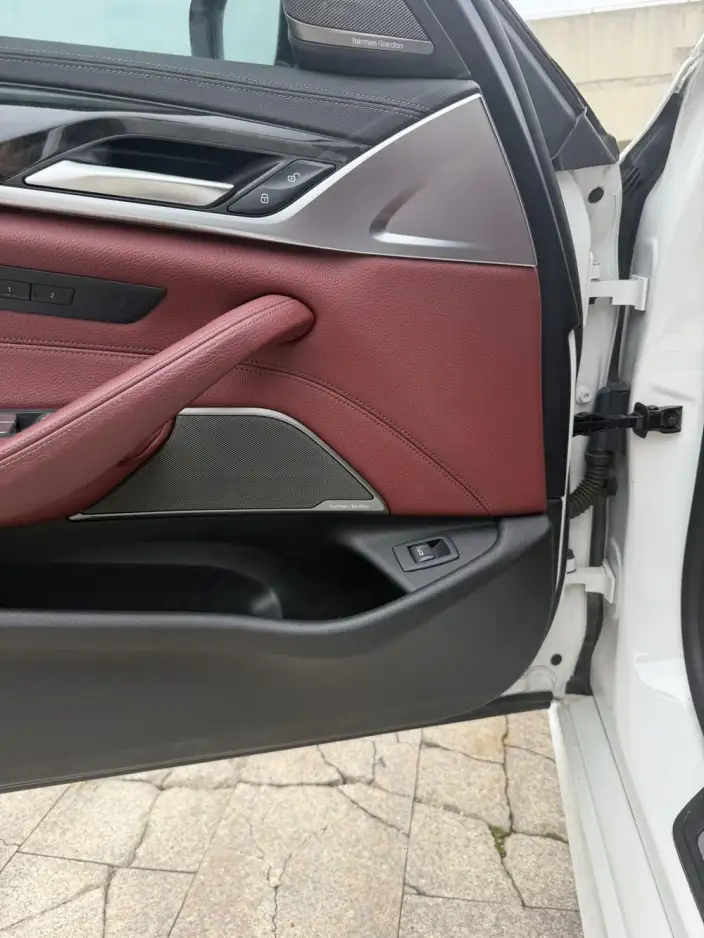 BMW 5 Series 2020 Model 530Li Leading Model M Sports Set – фото 16