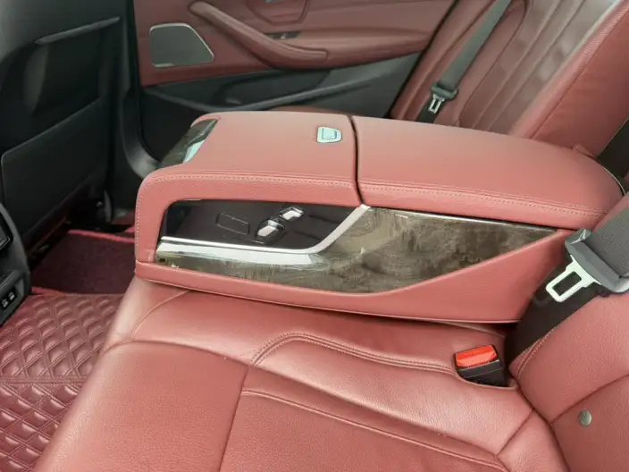 BMW 5 Series 2020 Model 530Li Leading Model M Sports Set – фото 27