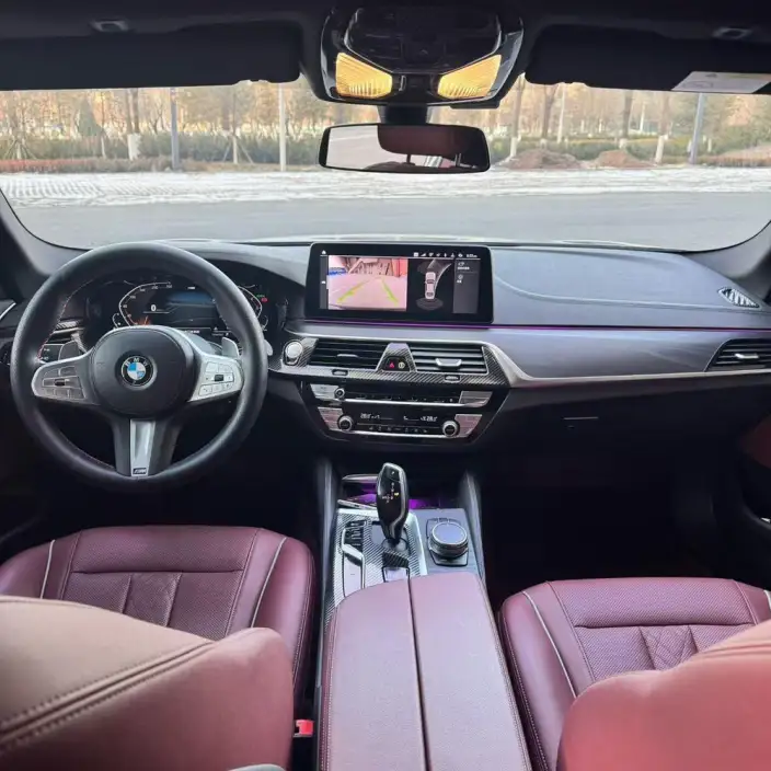 BMW 5 Series 2023 Model 530Li xDrive M Sports Set – фото 7