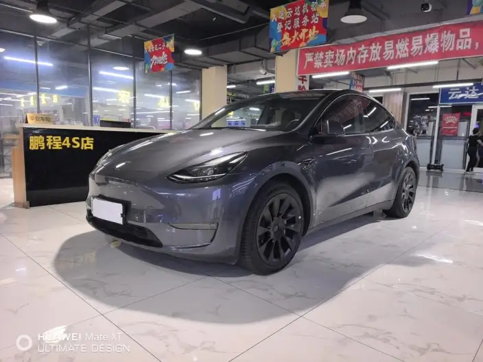 Model Y 2021 Model Long Battery Life Pro All-wheel drive version – фото 1