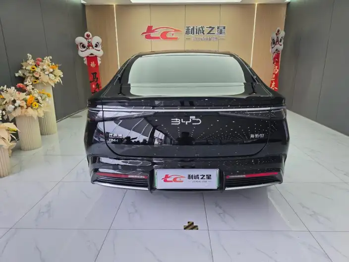 BYD Seal 07DM 2025 Model Smart Driving Edition DM-i 125KM Luxury Model – фото 5