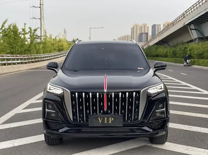 Hongqi HS5 2023 Model 2.0T Flag Xiang Pro Edition – фото 2